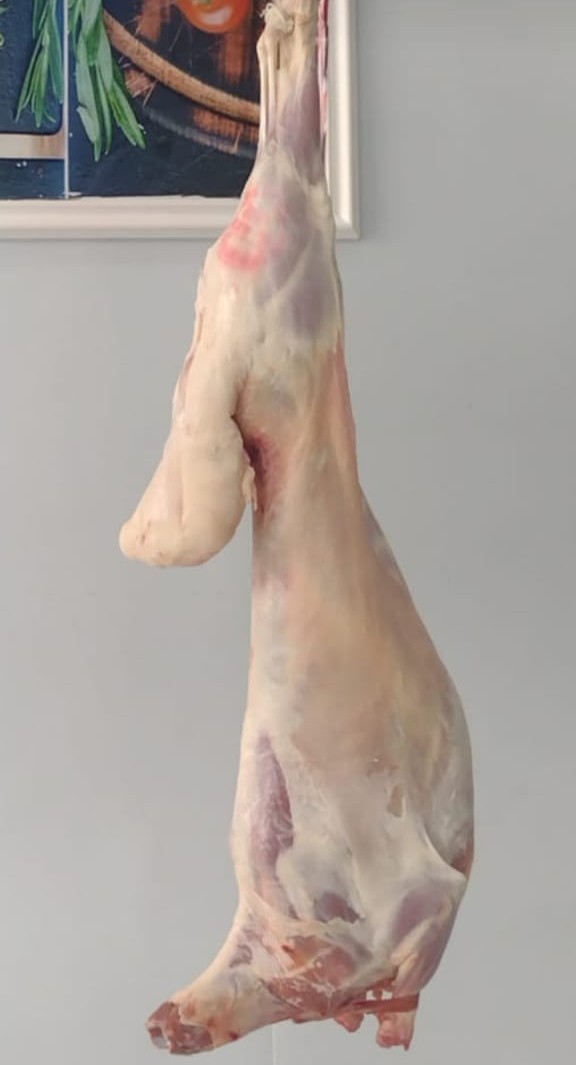 خروف هرفي كشميري